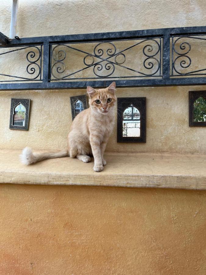 מרקש Riad Al Ibtikar מראה חיצוני תמונה