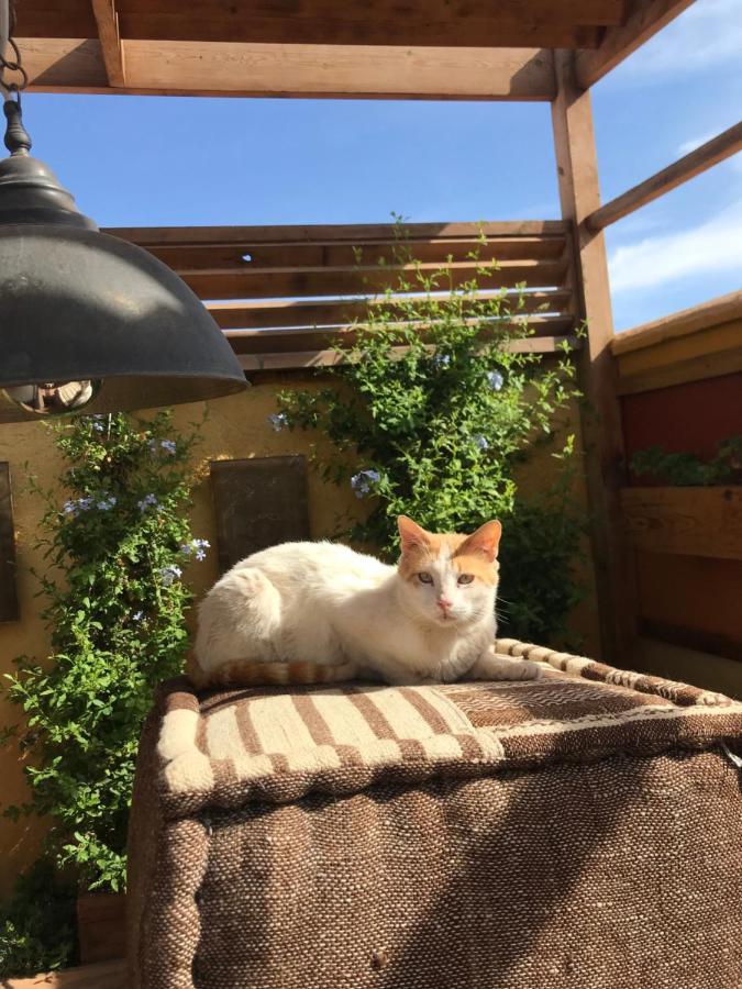 מרקש Riad Al Ibtikar מראה חיצוני תמונה